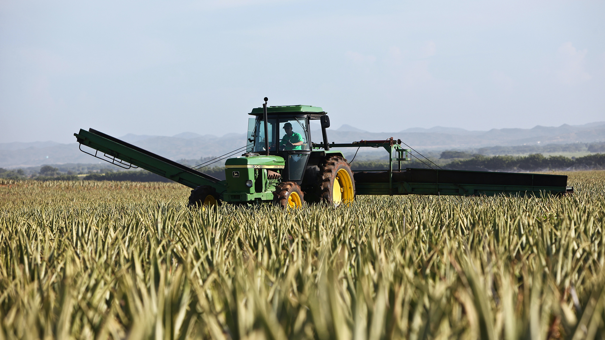 Industria alimentare